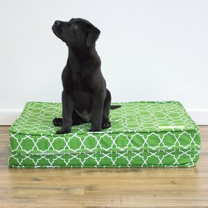 Green 5u201d Thick Soft/Firm Reversible Comfort Gel Memory Foam Orthopedic Dog Bed