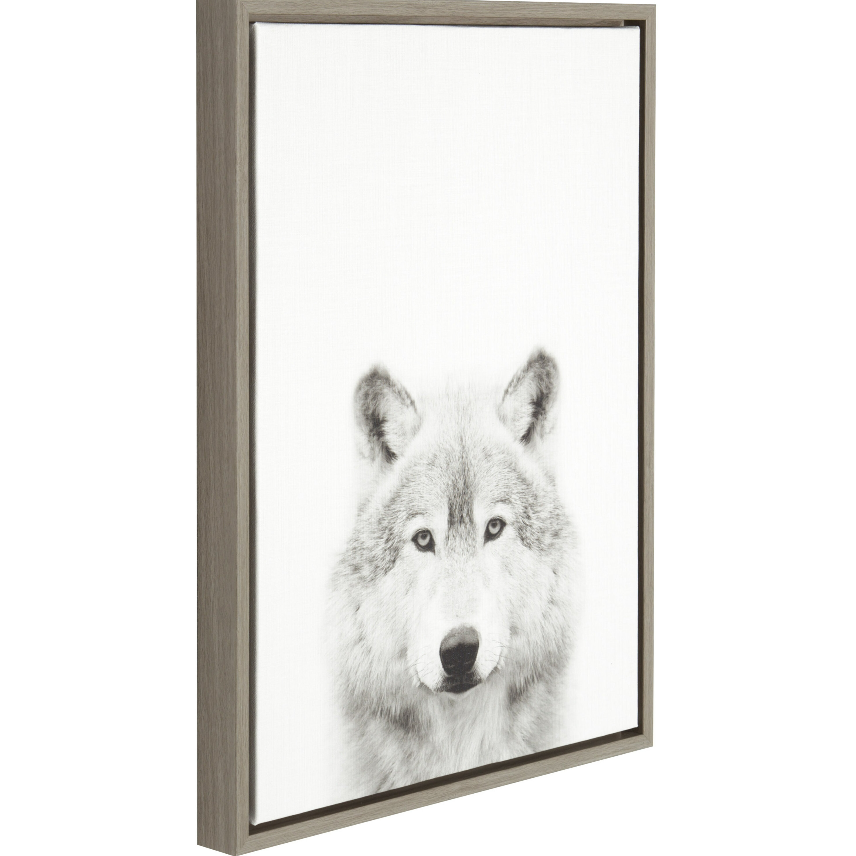 AllModern Jagger Wolf Portrait by Simon Te - Floater Frame Photograph ...