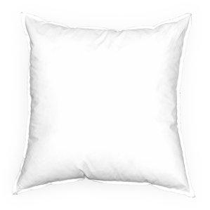 Insert Feathers Pillow by A&J Homes Studio