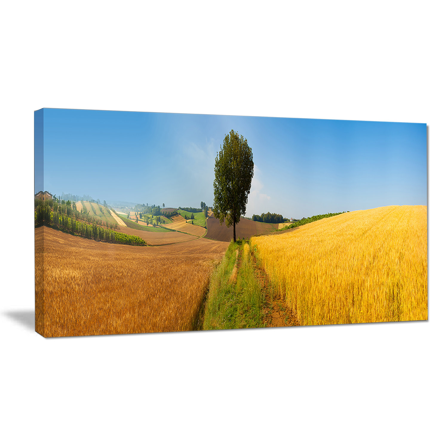 Designart Tuscany Wheat Field Hill Panorama Photographic Print On Wrapped Canvas Wayfair