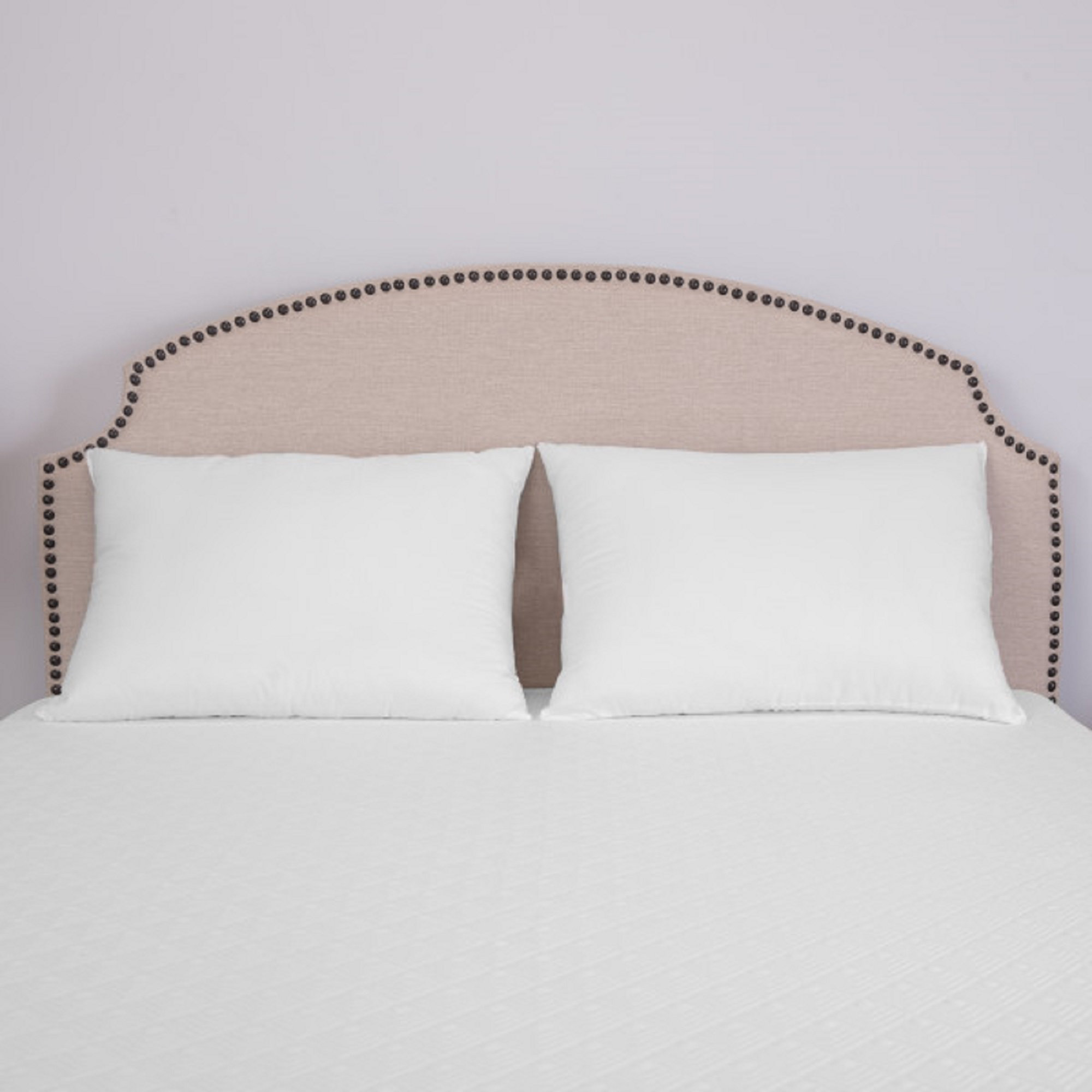Alwyn Home Saintcroix Jumbo Bed Polyfill 20 X 28 Pillows