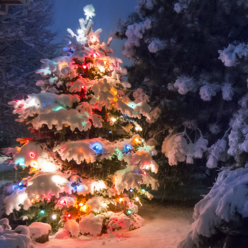 110 Light Solar String Lights