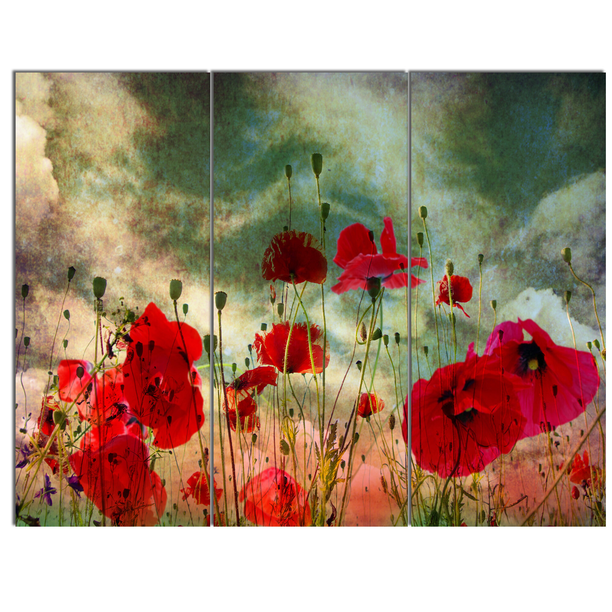 Designart Wild Red Poppy Flowers In Sky 3 Piece Wall Art On Wrapped Canvas Set Wayfair