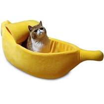 kitten beds uk