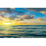 Yellow 3 Panel Photo Photography You Ll Love In 2020 Wayfair