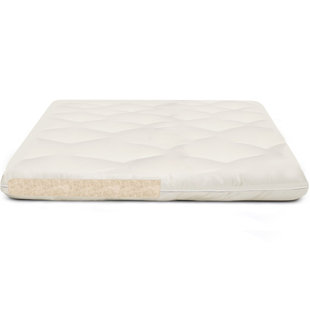Go to store & view more images Alwyn Home Mila Chemical Free 2