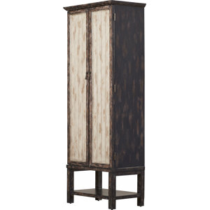 Stillmore 2 Door Accent  Cabinet