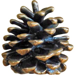 Ponderosa Pine Novelty Knob