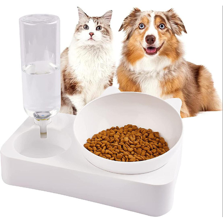 automatic water dish for cats