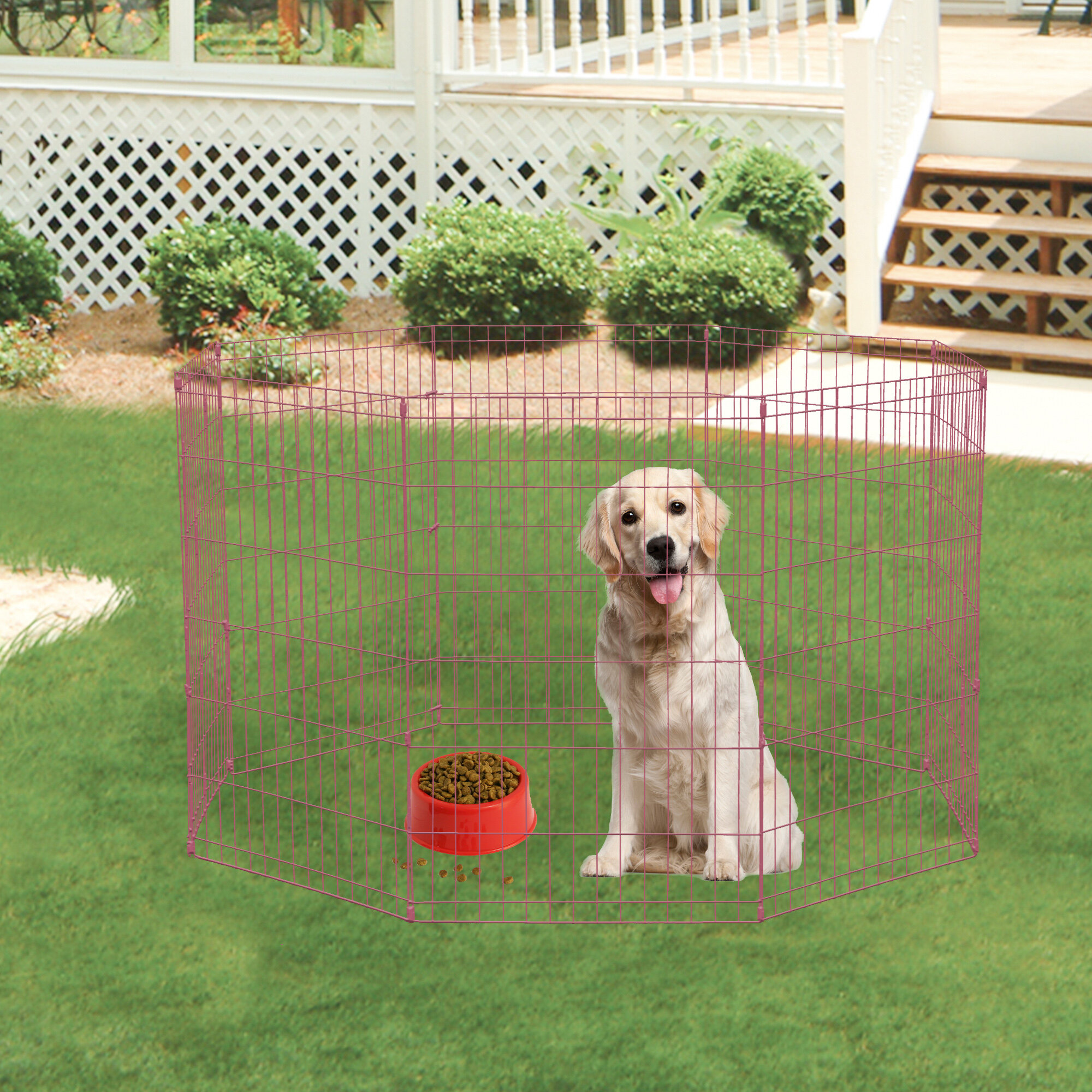 Small Pet Hamster Playpen Safely Animal Exercise Pen 36 Inch Fence Portable Cage 