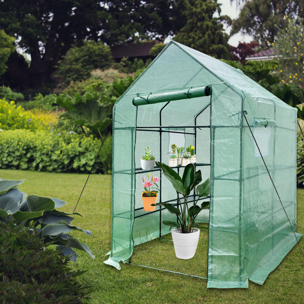 Mini Indoor Greenhouse Wayfair Ca