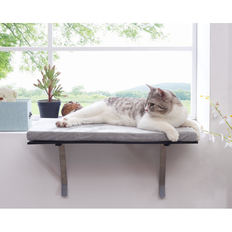 window perch for cats