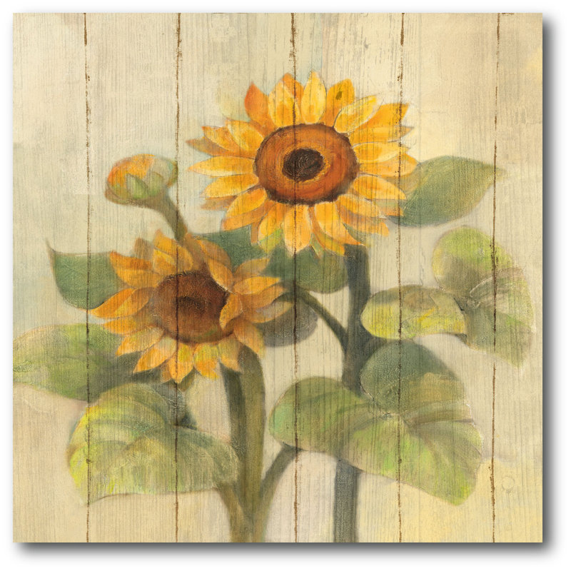 August Grove Summer Sunflowers Ii On Barn Board Wrapped Canvas Graphic Art On Wood Reviews Wayfair