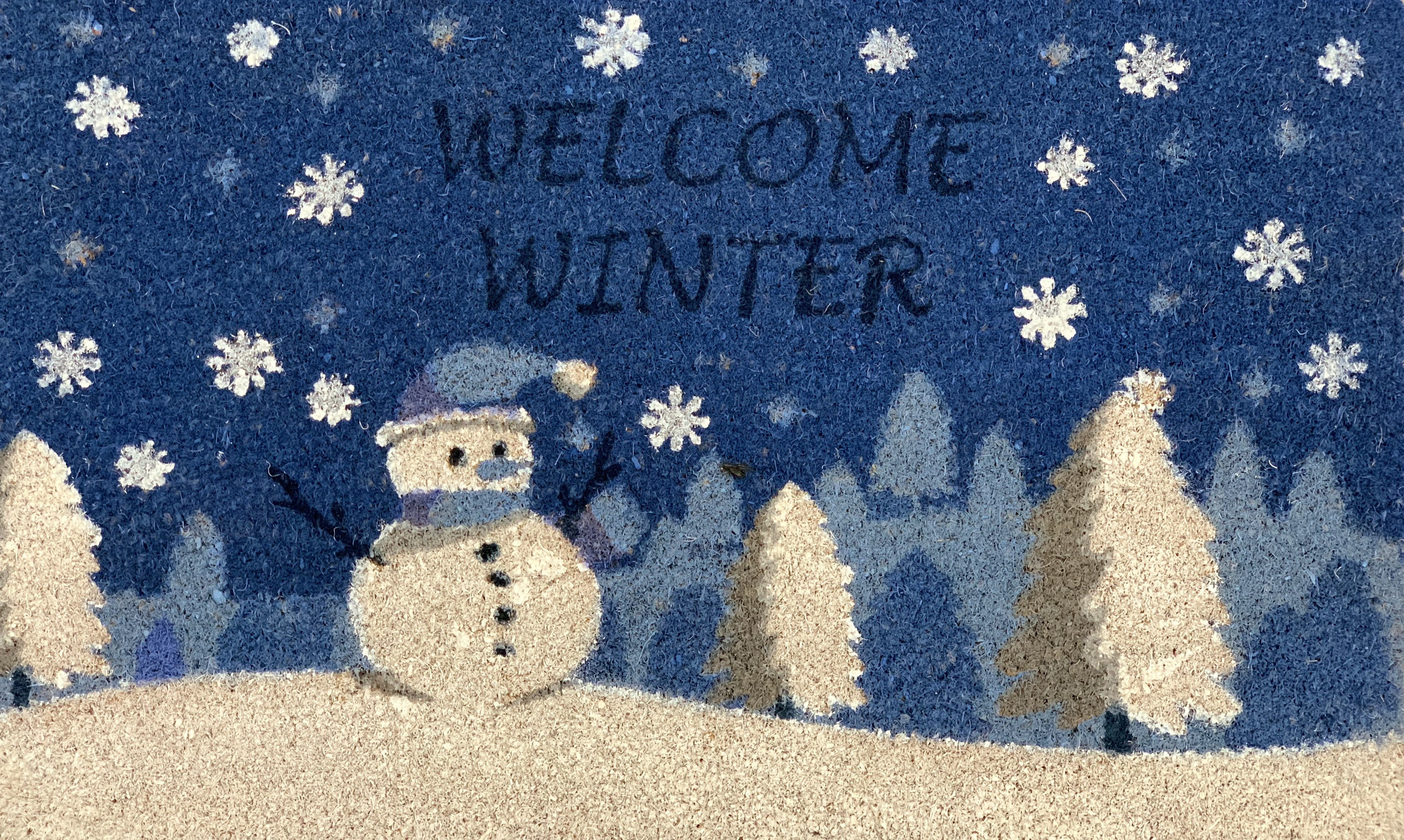 The Holiday Aisle Merchant Welcome Winter Door Mat Wayfair