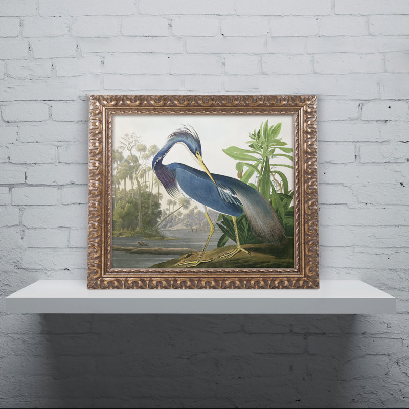 Made in U.S.A Giclee Prints Fine Art Repro Green Heron by John James Audubon