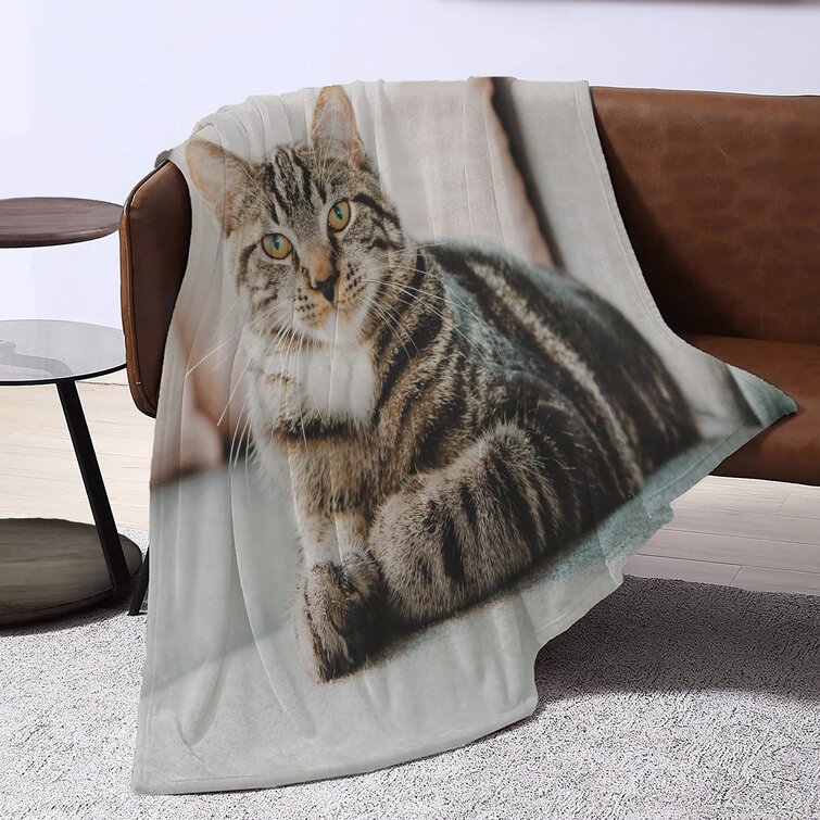 East Urban Home Cat Cats 28 Throw Blanket | Wayfair