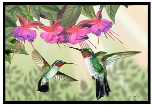 Caroline S Treasures Fuchsia And Hummingbirds Non Slip Outdoor Door Mat Reviews Wayfair
