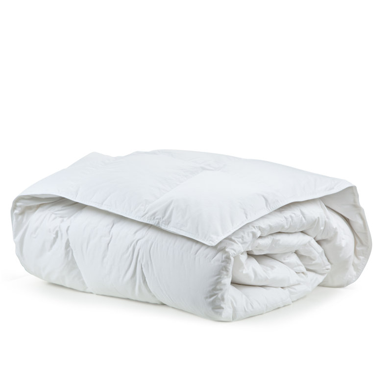 American Bedding Goose Down Comforter Wayfair