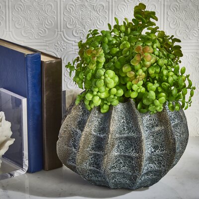 Xavia Eclectic Decorative Ceramic Table Vase Bloomsbury Market Size: 7.25