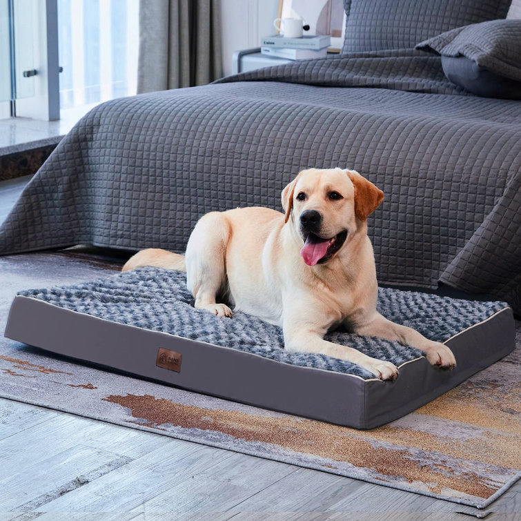 extra large dog mats