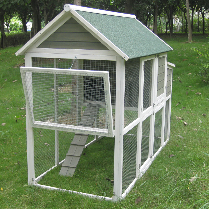 Coops And Feathers Superior Chicken House With Chicken Run