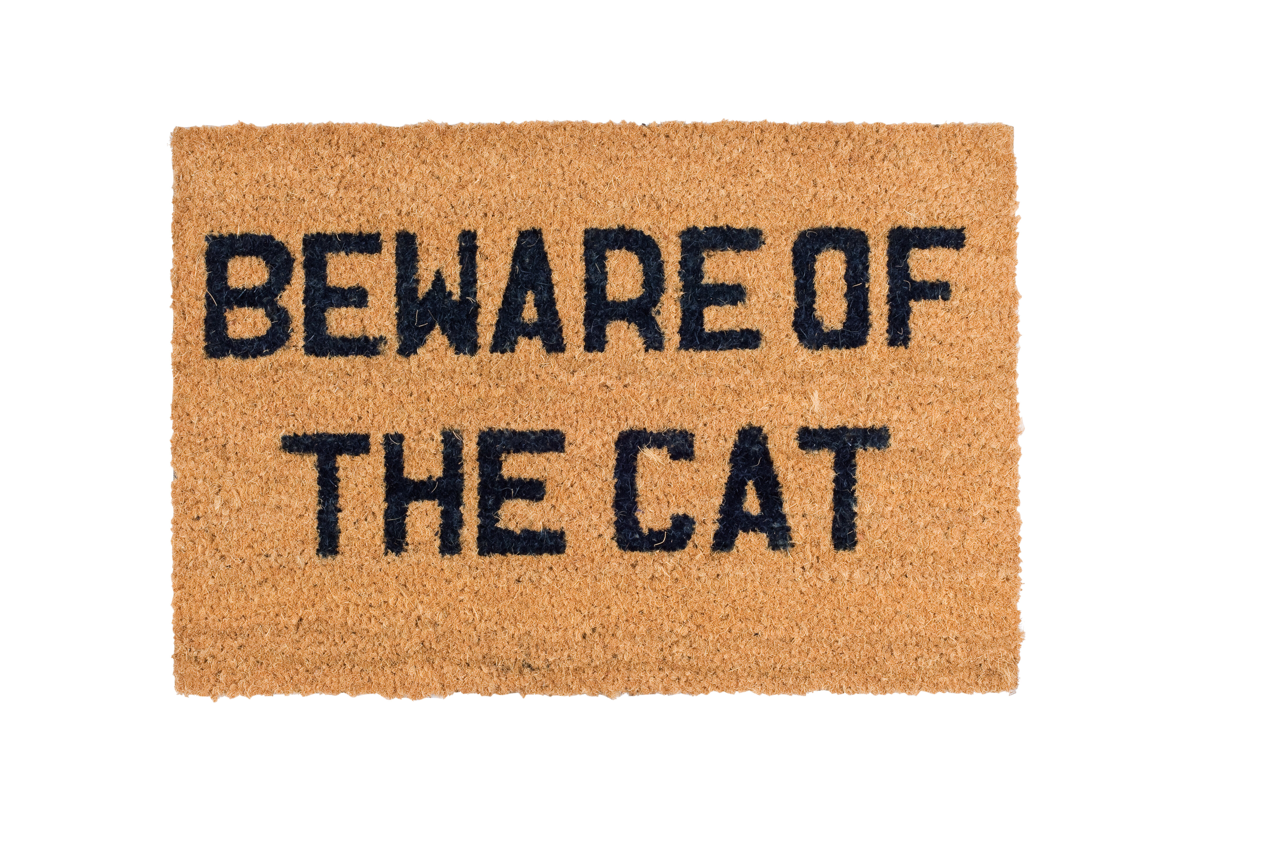 Beware Of The Cat Doormat