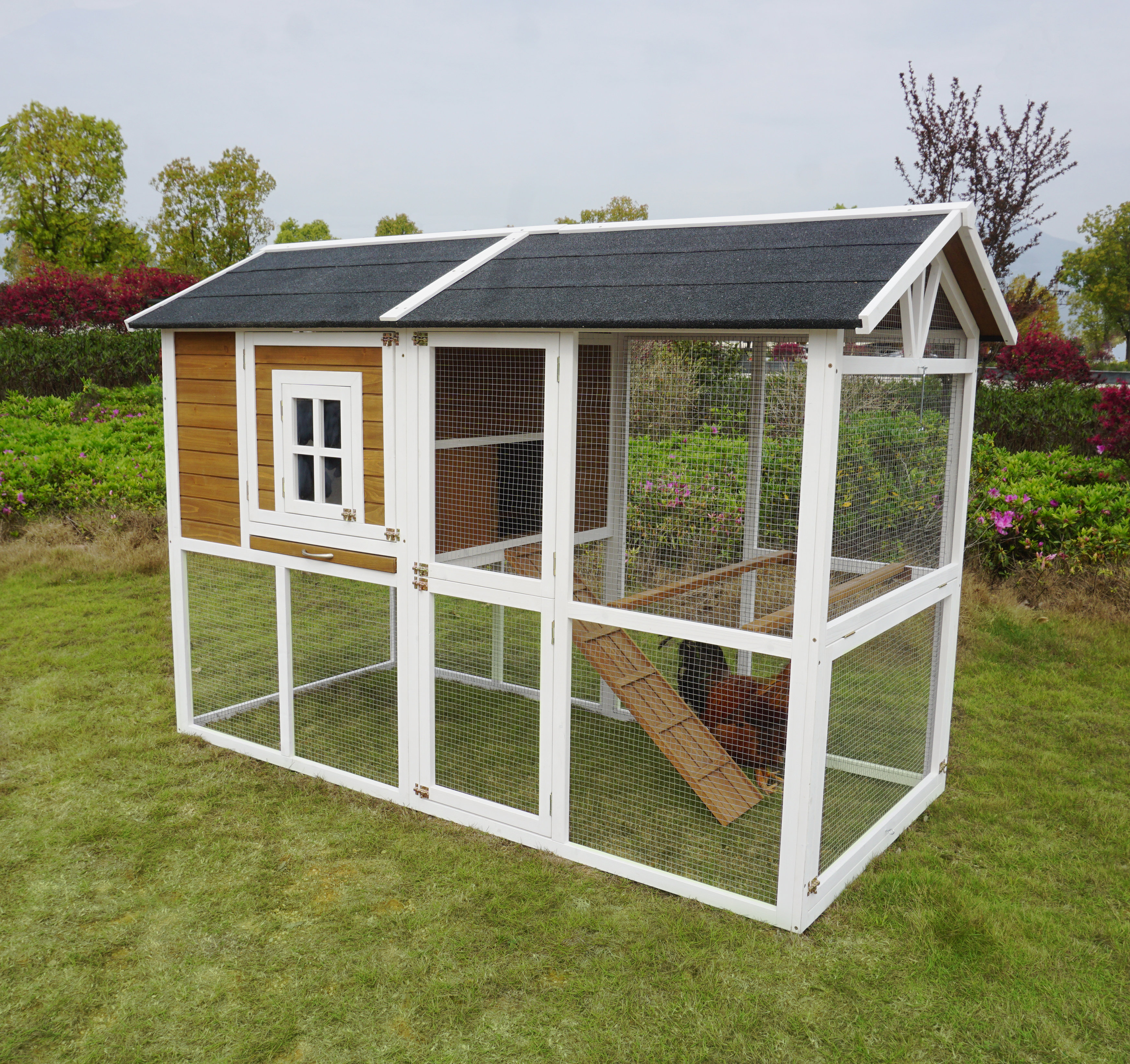 Shanae Walk In Chicken Coop with Chicken Run For Up To 8 Chickens