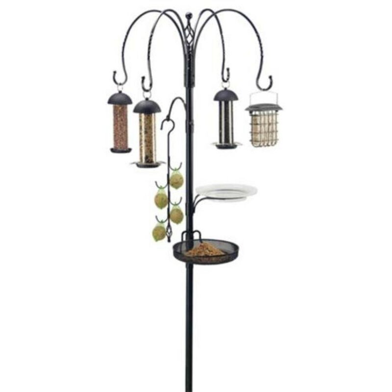 Gardman Complete Bird Feeding Station Kit Reviews Wayfair