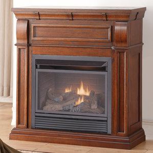 Chestnut Dual Fuel Ventless Natural Gas/Propane Fireplace by Duluth Forge
