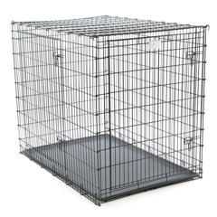 great dane crate