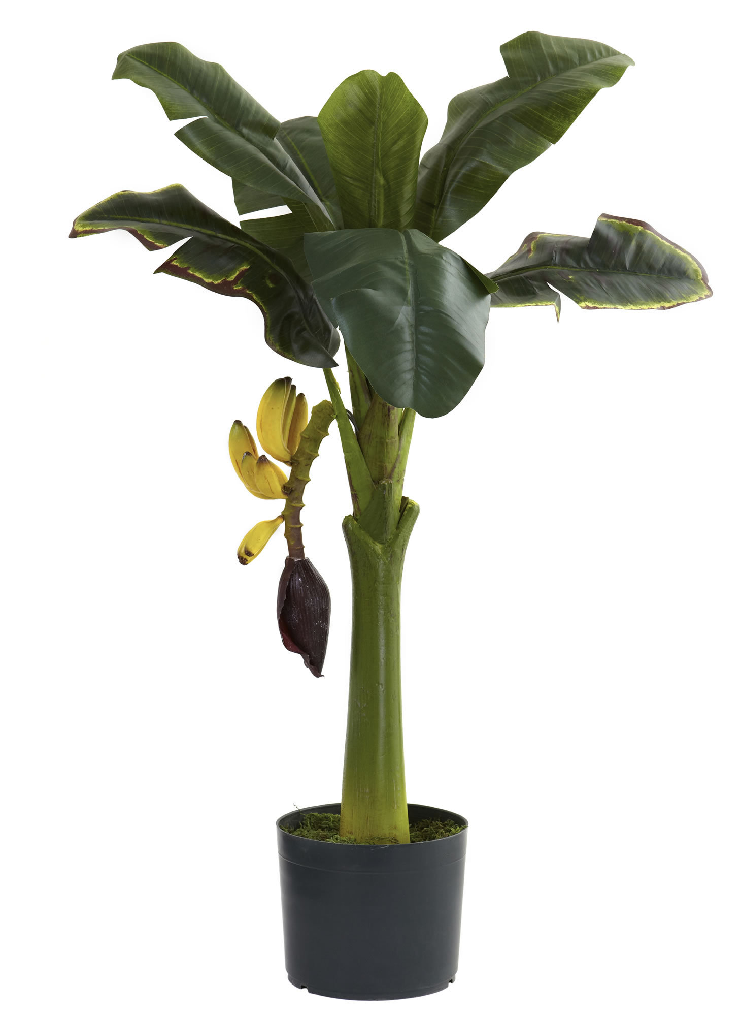 Primrue Aahil Faux Banana Leaf Plant in Pot & Reviews Wayfair