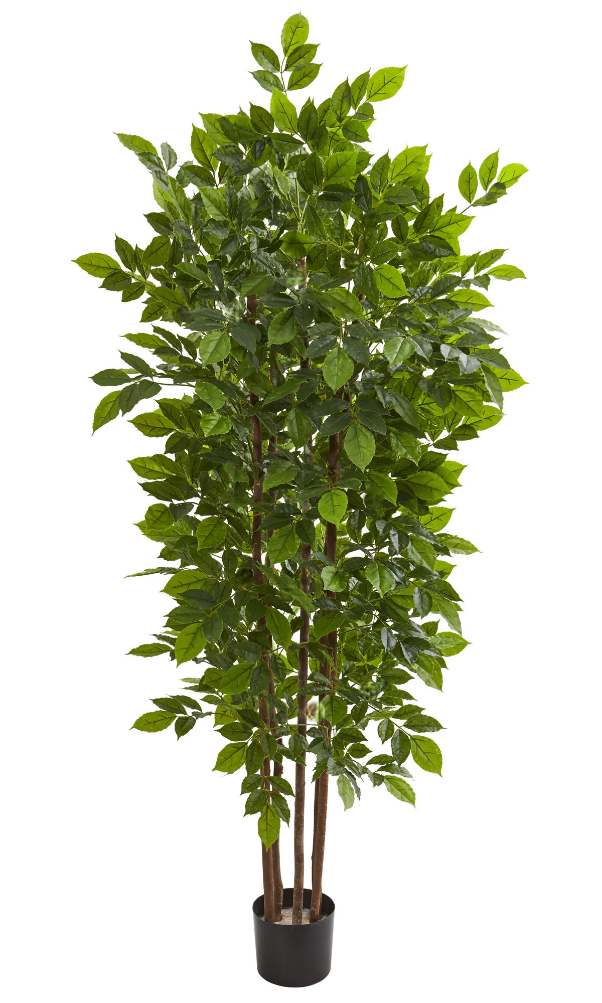 wayfair balcony planters on Charlton Home 76 Artificial Birch Tree In Planter Reviews Wayfair