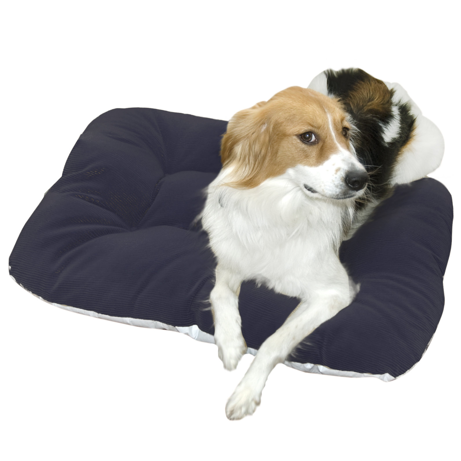 happy hounds oscar orthopedic dog bed