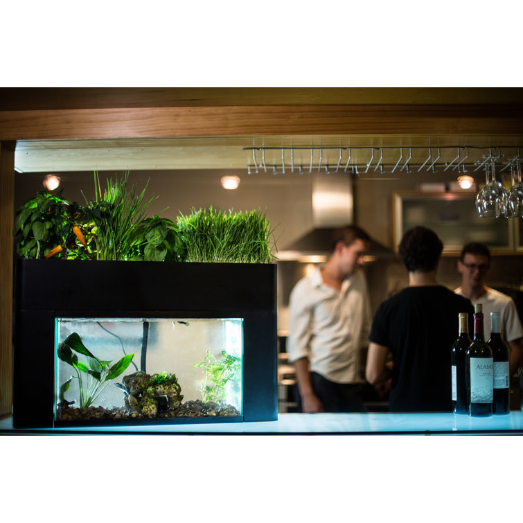 120 Gallon Aquarium Edmonton
