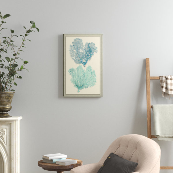 Coral Color Pictures Wayfair