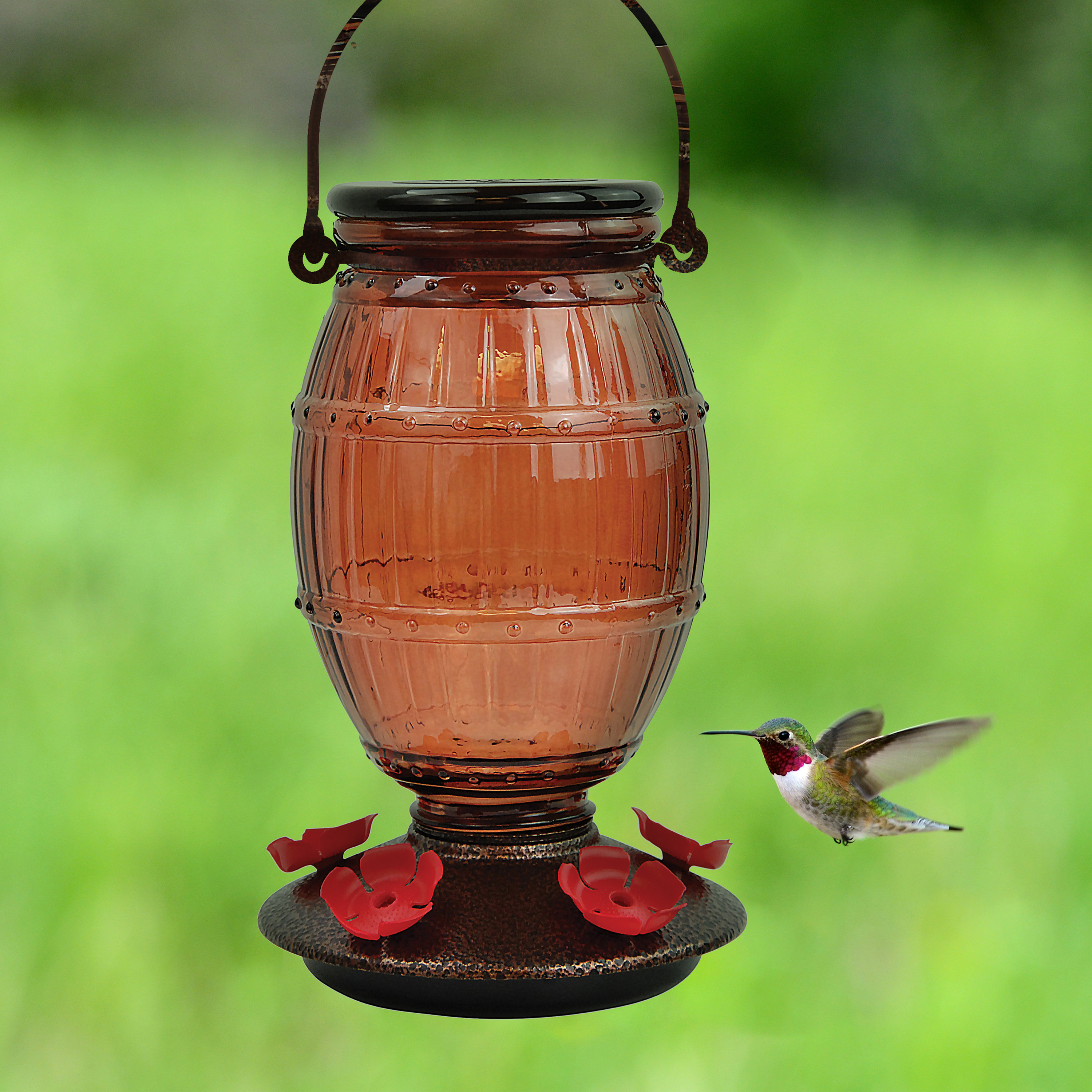 Perky Pet Prohibition Top Fill Glass Hummingbird Feeder Wayfair Ca