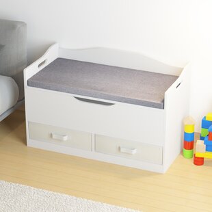 toy chest wayfair