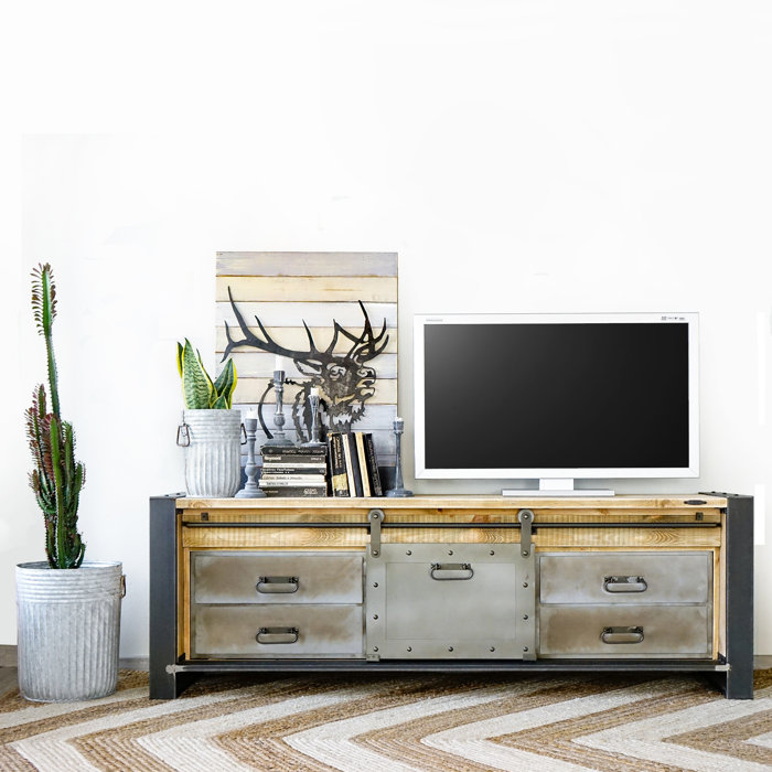 TV-Lowboard HILLSBOROUGH - Williston Forge