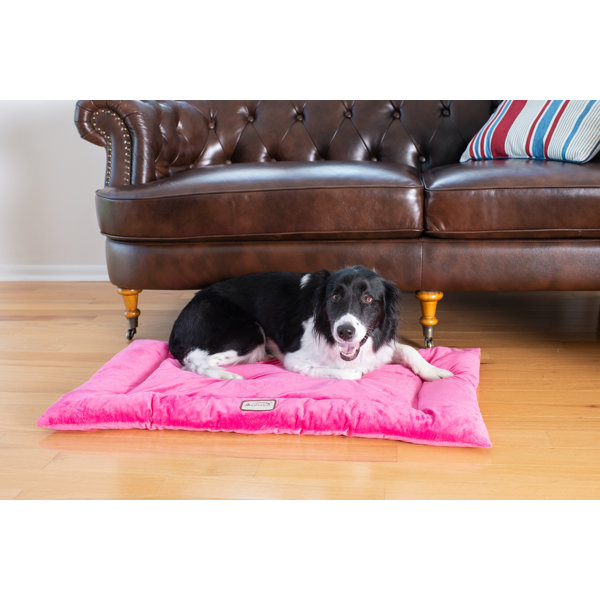 portable dog mat