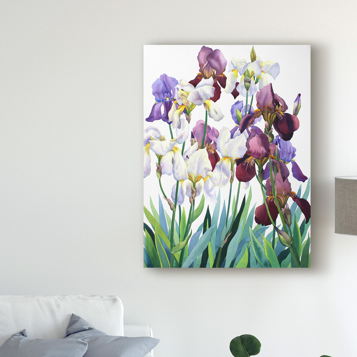 East Urban Home White And Purple Irises by Christopher Ryland - Print ...