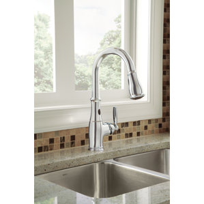 Moen Brantford Single Handle Kitchen Faucet