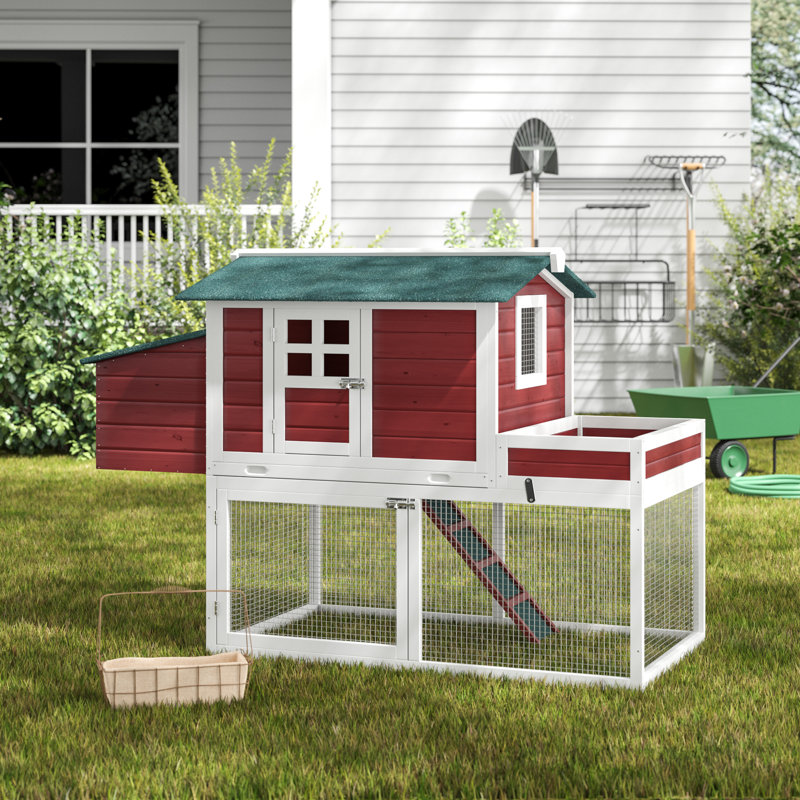 Archie Oscar Rosita Chicken Coop With Run Area And Nesting Box Reviews Wayfair