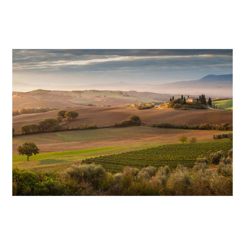 Olive Grove in Tuscany 2.25m x 3.36m Embossed Matte Peel & Stick Wallpaper Roll East Urban Home