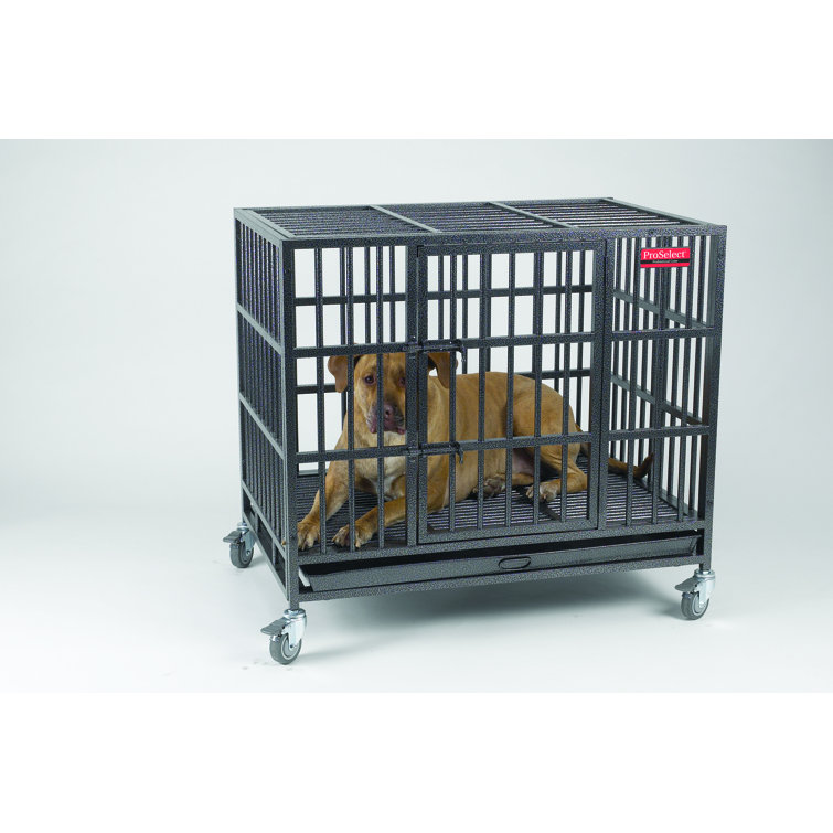 empire pro select dog crate