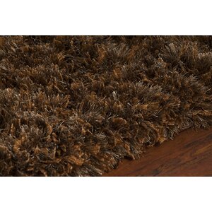 Mairead Textured Shag Brown Area Rug