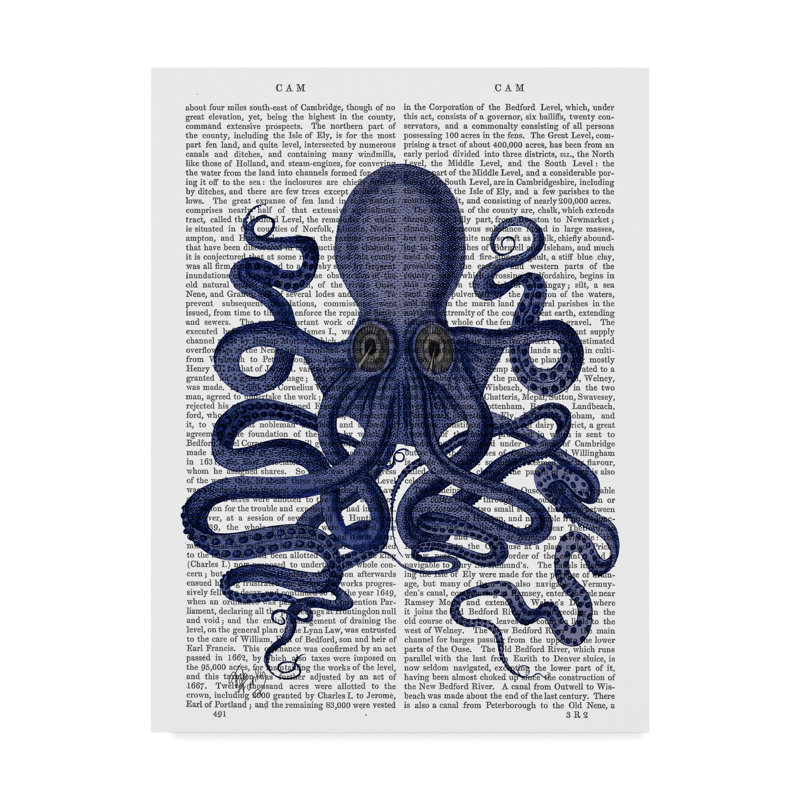 Winston Porter Octopus 9 Graphic Art Print On Wrapped Canvas Wayfair
