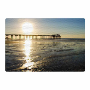 Nick Nareshni Sun Over Scripps Pier Tan/Brown Area Rug