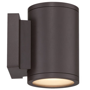 Tube 2-Light LED Outdoor Sconce