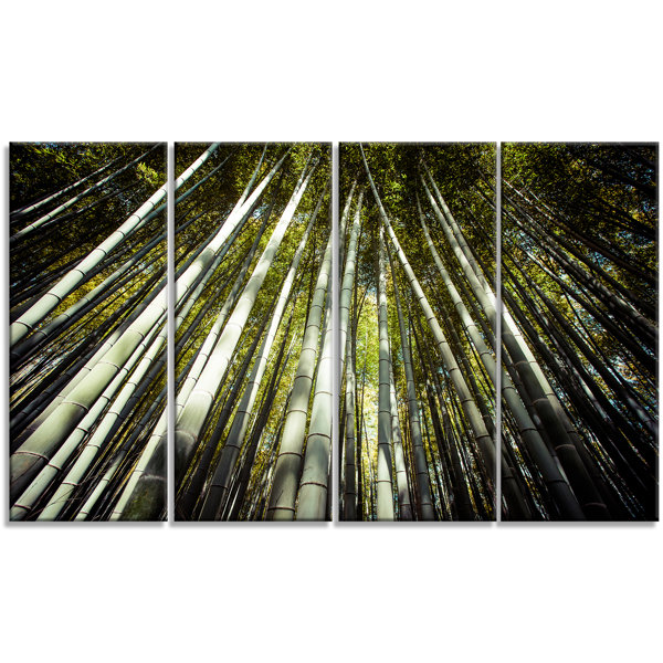 Designart Long Bamboos In Bamboo Forest 4 Piece Photographic