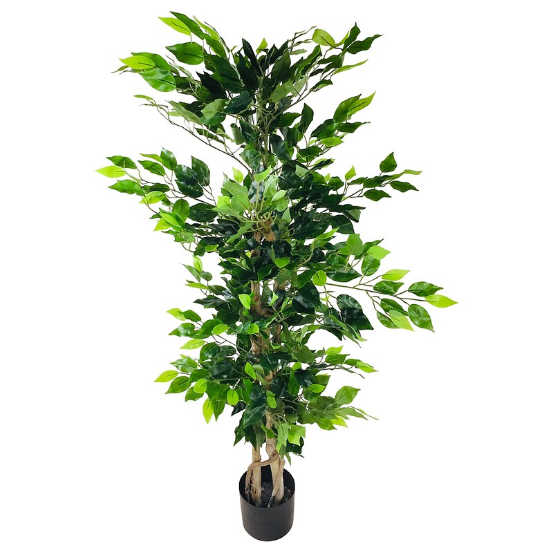 The Seasonal Aisle Artificial Ficus Tree in Pot & Reviews | Wayfair.co.uk